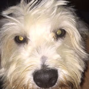 Meet your Posher, Karla